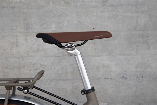 Fahrrad alfine 11 gates deals